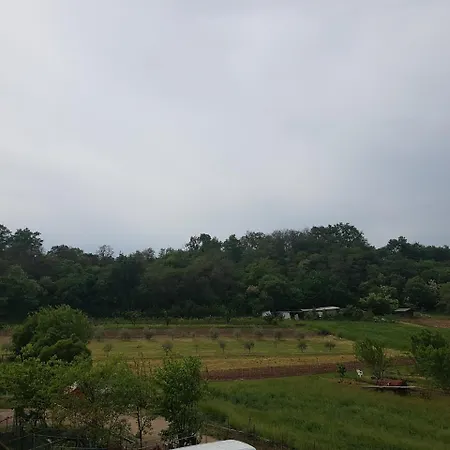 Molinari Bed & Breakfast 3*